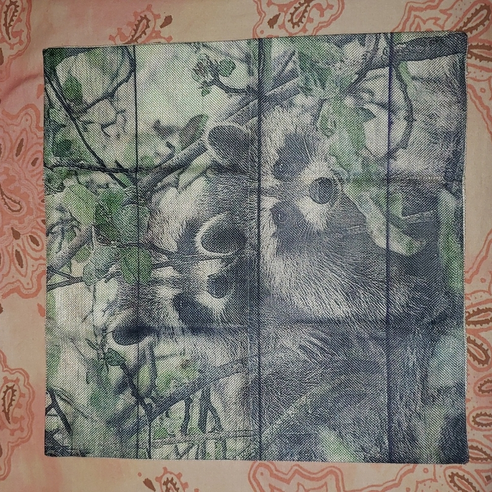 Raccoon Pillow Cover. Real Raccoon. Coon - Picture 2 of 11